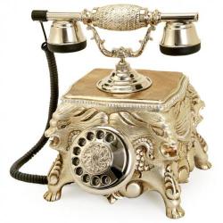 Gümüş Varaklı Aslanlı Swarovski Taşlı Telefon